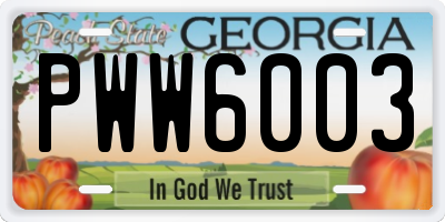 GA license plate PWW6003