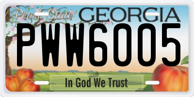 GA license plate PWW6005