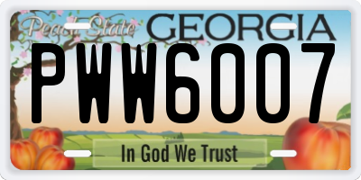 GA license plate PWW6007