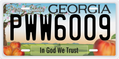GA license plate PWW6009