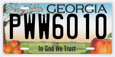 GA license plate PWW6010