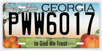 GA license plate PWW6017