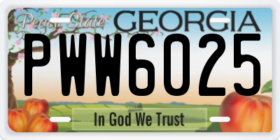 GA license plate PWW6025