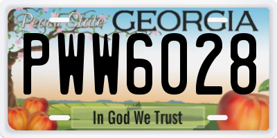 GA license plate PWW6028