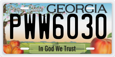 GA license plate PWW6030