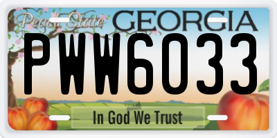 GA license plate PWW6033