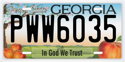 GA license plate PWW6035