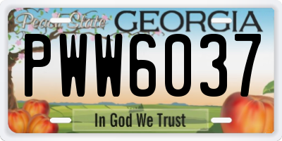 GA license plate PWW6037