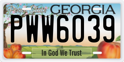 GA license plate PWW6039