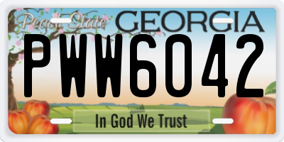 GA license plate PWW6042