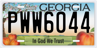 GA license plate PWW6044