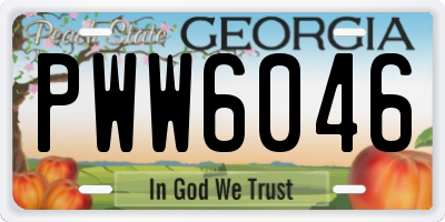 GA license plate PWW6046