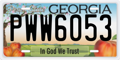 GA license plate PWW6053