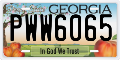GA license plate PWW6065
