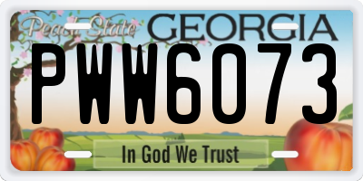 GA license plate PWW6073
