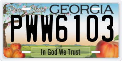 GA license plate PWW6103
