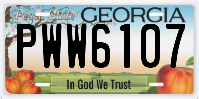 GA license plate PWW6107