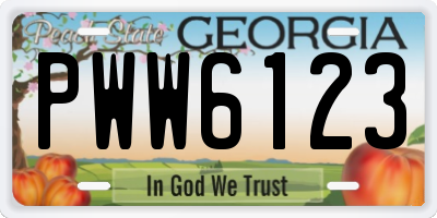 GA license plate PWW6123