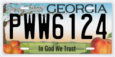 GA license plate PWW6124