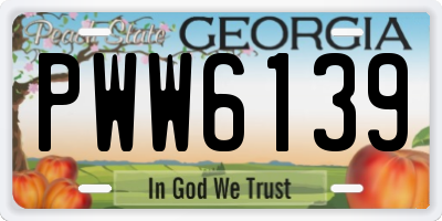 GA license plate PWW6139