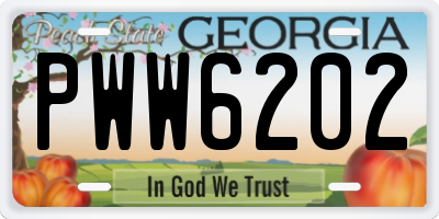 GA license plate PWW6202