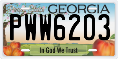 GA license plate PWW6203