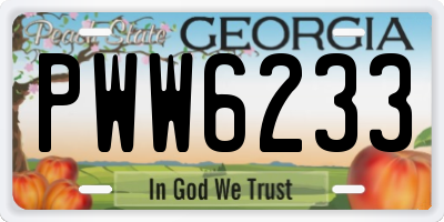 GA license plate PWW6233