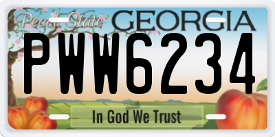 GA license plate PWW6234
