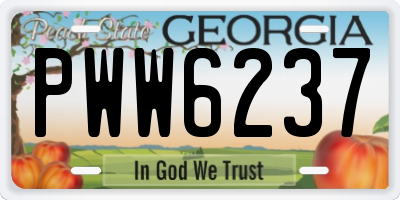 GA license plate PWW6237