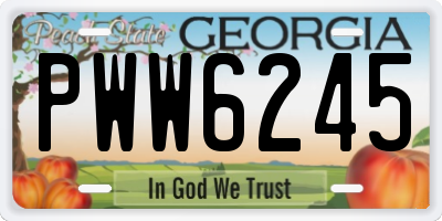 GA license plate PWW6245