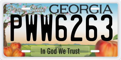 GA license plate PWW6263