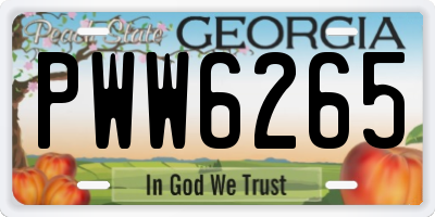 GA license plate PWW6265
