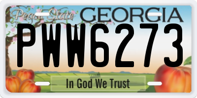 GA license plate PWW6273