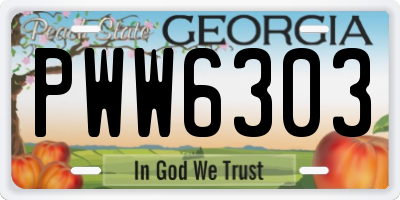 GA license plate PWW6303