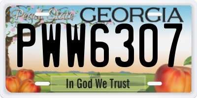 GA license plate PWW6307