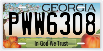 GA license plate PWW6308