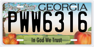 GA license plate PWW6316