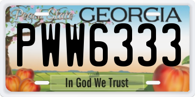 GA license plate PWW6333