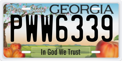 GA license plate PWW6339