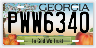 GA license plate PWW6340