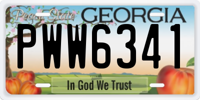 GA license plate PWW6341