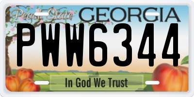 GA license plate PWW6344