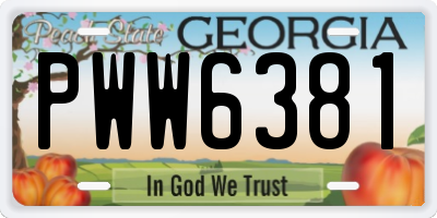 GA license plate PWW6381