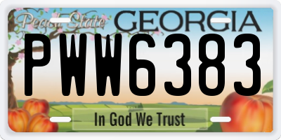 GA license plate PWW6383