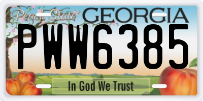 GA license plate PWW6385