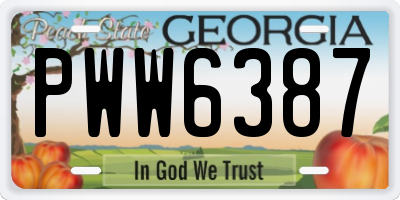 GA license plate PWW6387