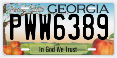 GA license plate PWW6389