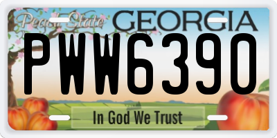 GA license plate PWW6390