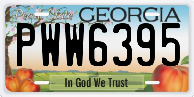 GA license plate PWW6395