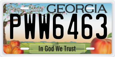 GA license plate PWW6463